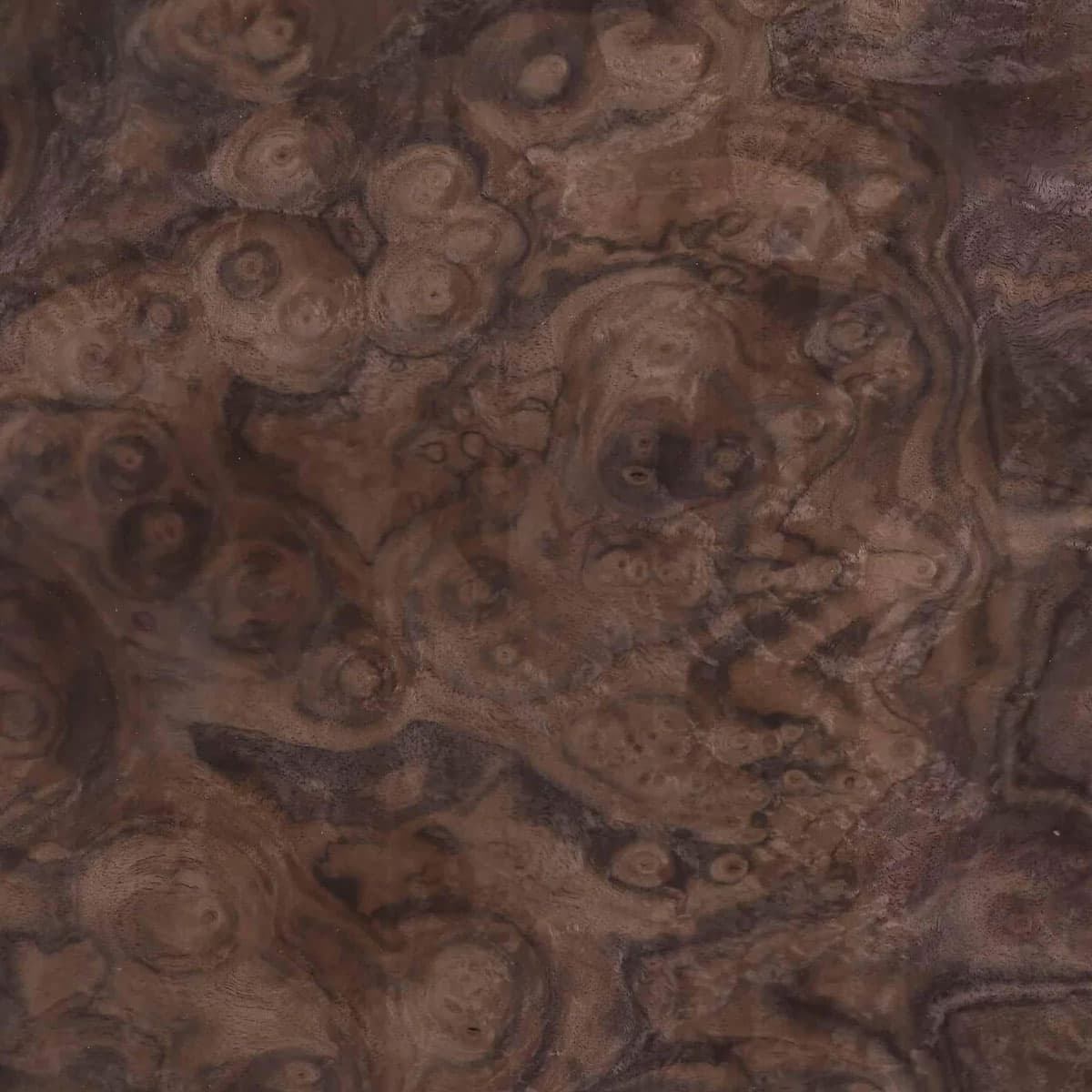 Walnut Burr veneer for interior doors