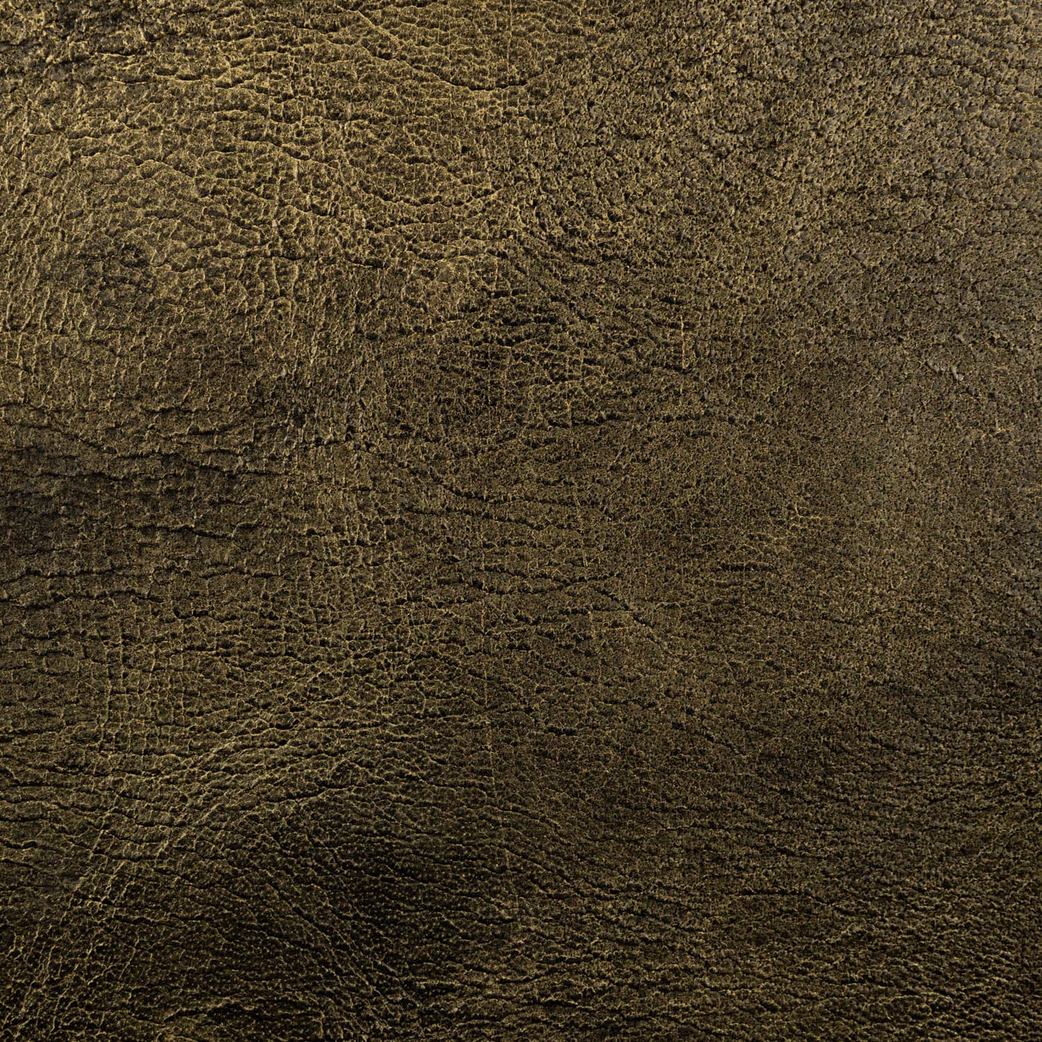 Pampas leather in Black & Brass for interior steel glazed doors and screens